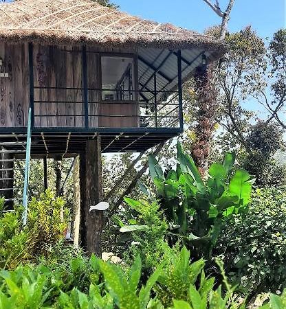Апартаменти Noah'S Nest Tree House Теккаді Екстер'єр фото