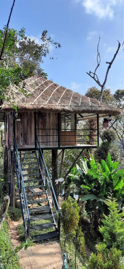 Апартаменти Noah'S Nest Tree House Теккаді Екстер'єр фото