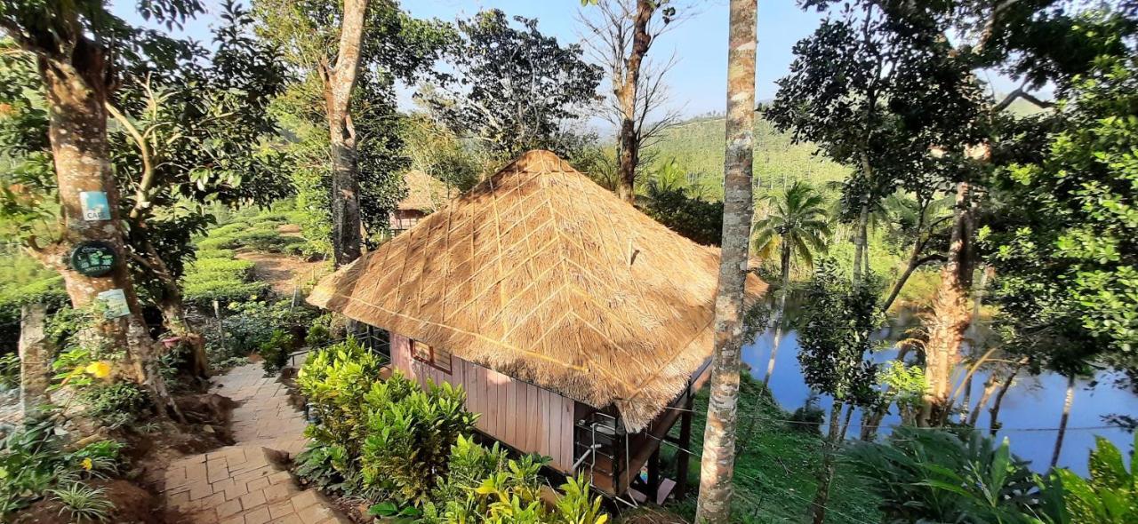 Апартаменти Noah'S Nest Tree House Теккаді Екстер'єр фото