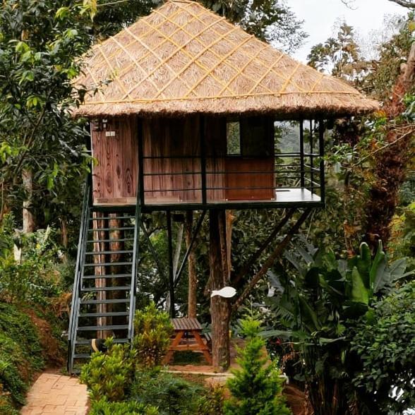 Апартаменти Noah'S Nest Tree House Теккаді Екстер'єр фото