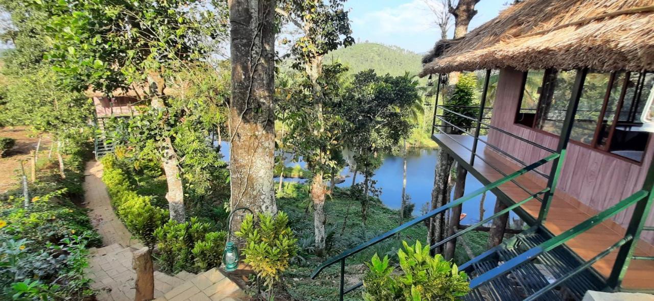 Апартаменти Noah'S Nest Tree House Теккаді Екстер'єр фото
