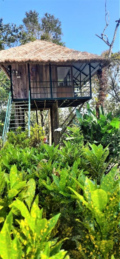 Апартаменти Noah'S Nest Tree House Теккаді Екстер'єр фото