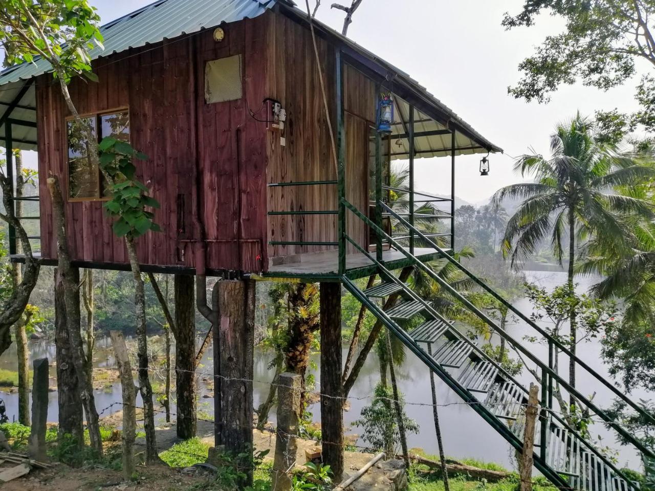 Апартаменти Noah'S Nest Tree House Теккаді Екстер'єр фото