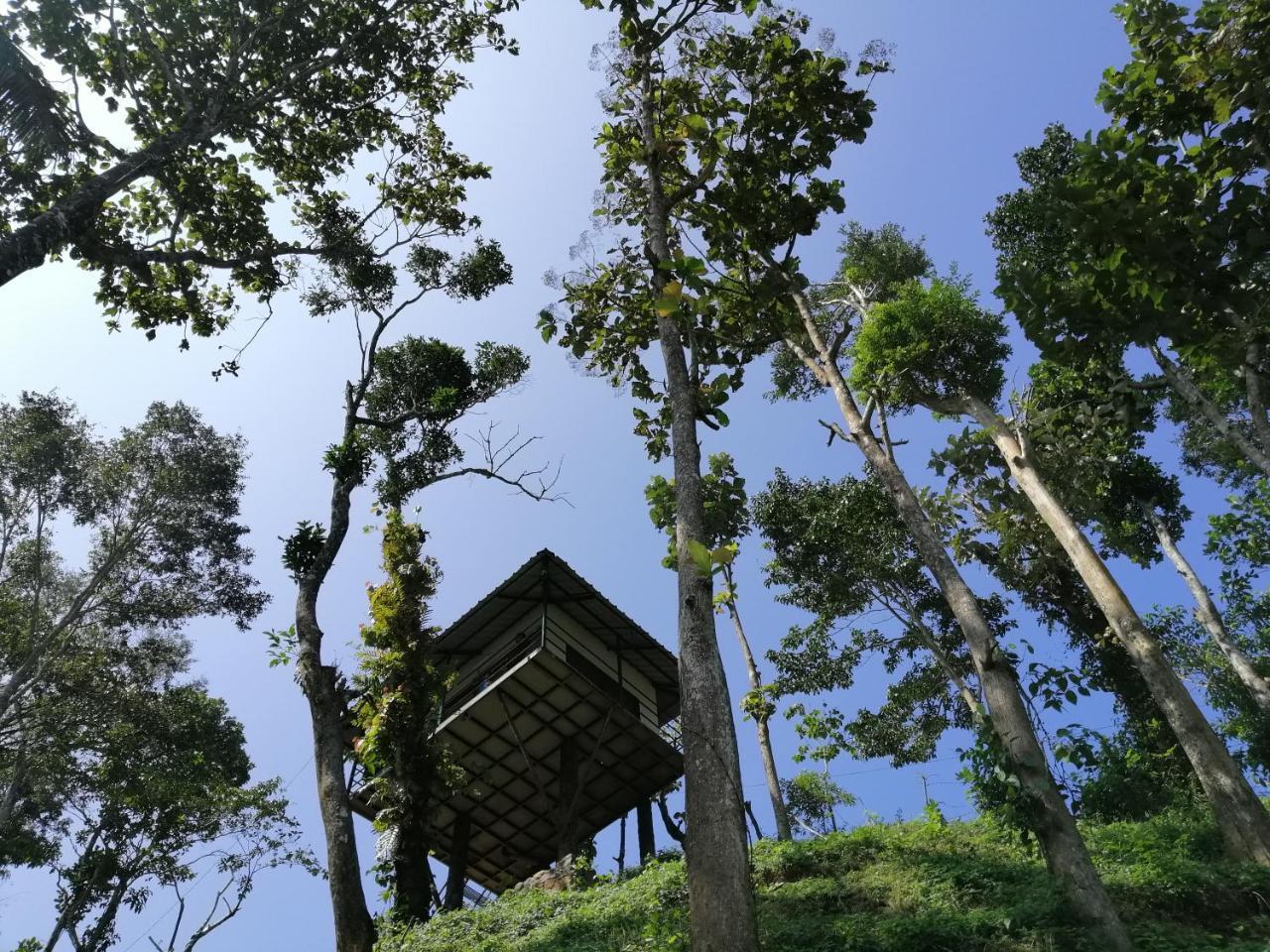 Апартаменти Noah'S Nest Tree House Теккаді Екстер'єр фото