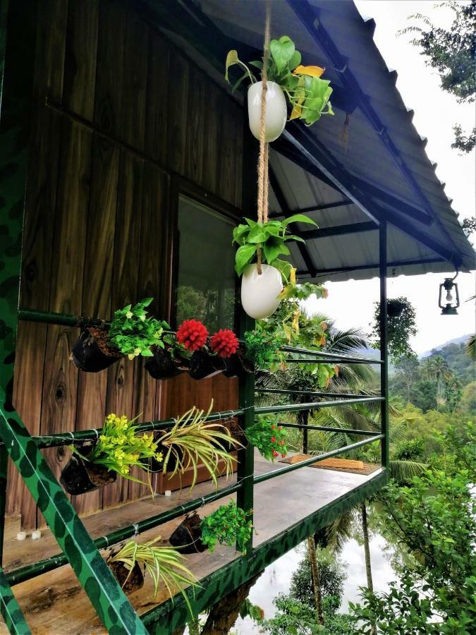 Апартаменти Noah'S Nest Tree House Теккаді Екстер'єр фото